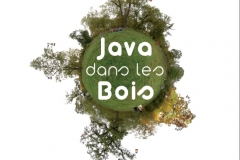 2009_affiche_java2009