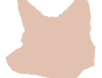 ren5